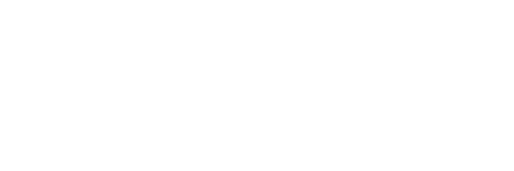 Ledger